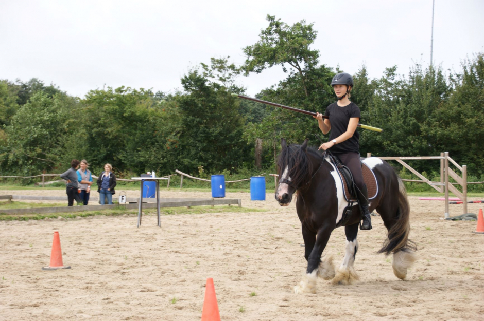 Working Equitation clinic 2019